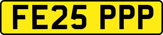 FE25PPP