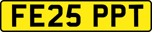 FE25PPT