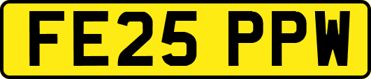 FE25PPW