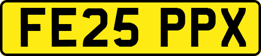 FE25PPX