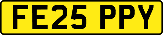 FE25PPY
