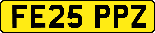 FE25PPZ