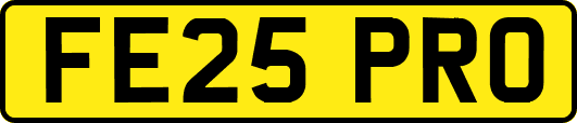 FE25PRO