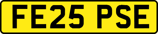 FE25PSE