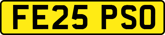 FE25PSO