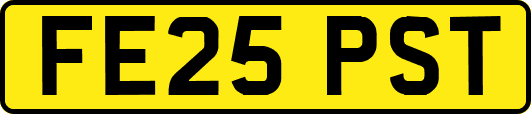 FE25PST