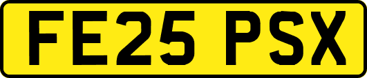 FE25PSX