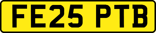 FE25PTB