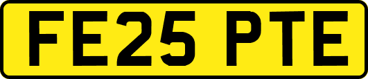 FE25PTE
