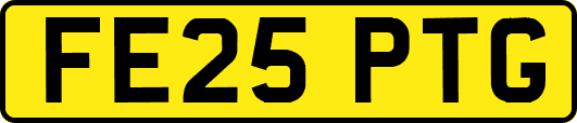 FE25PTG