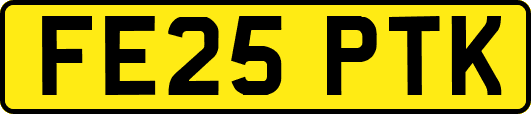 FE25PTK