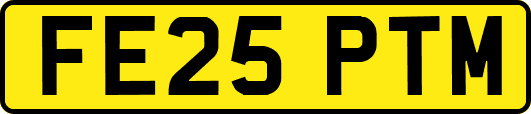 FE25PTM