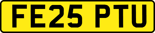 FE25PTU