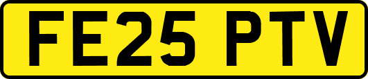 FE25PTV