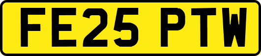 FE25PTW