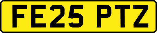 FE25PTZ
