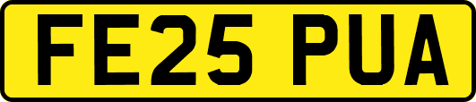 FE25PUA