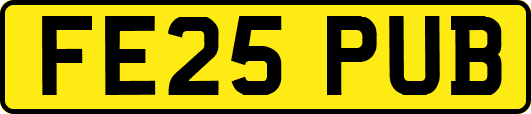 FE25PUB