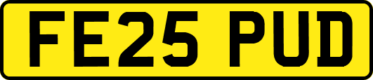 FE25PUD