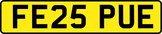 FE25PUE