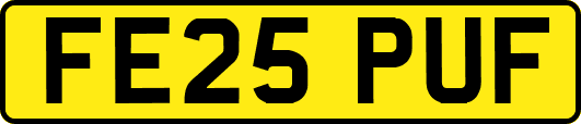 FE25PUF