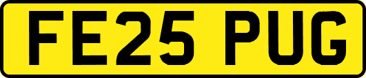 FE25PUG