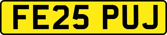 FE25PUJ
