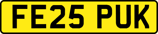 FE25PUK