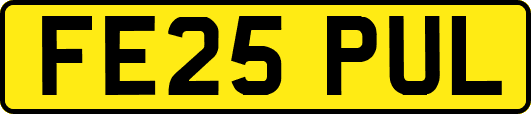 FE25PUL