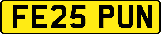 FE25PUN