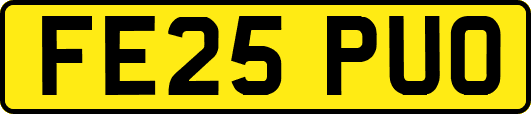FE25PUO