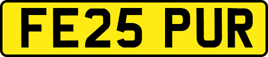 FE25PUR