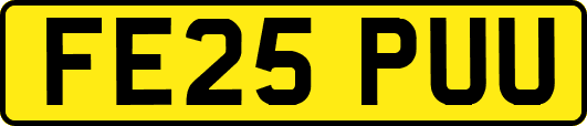FE25PUU