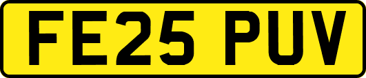 FE25PUV