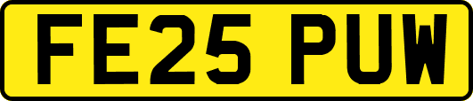 FE25PUW
