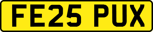 FE25PUX