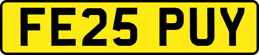 FE25PUY