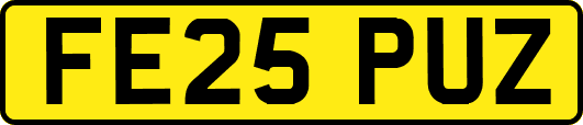 FE25PUZ