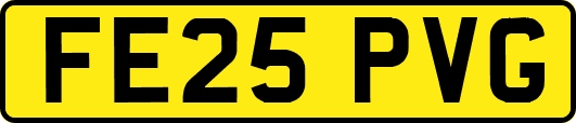 FE25PVG
