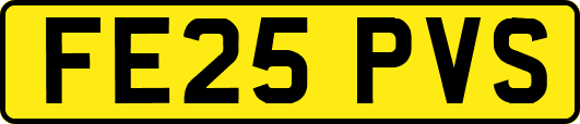 FE25PVS
