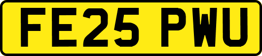 FE25PWU
