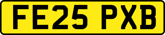 FE25PXB