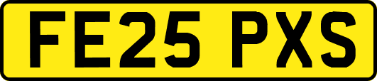 FE25PXS