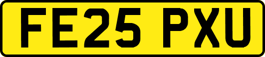 FE25PXU