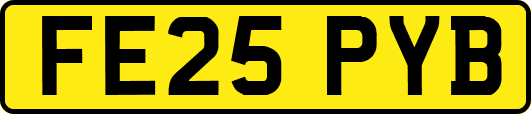 FE25PYB