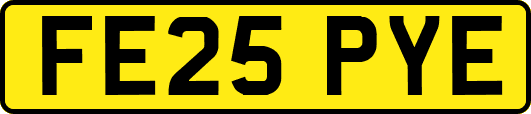 FE25PYE