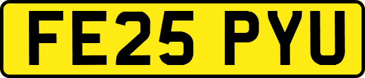 FE25PYU