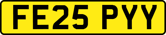 FE25PYY