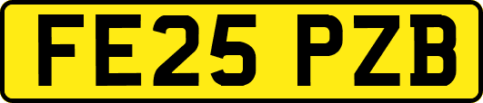 FE25PZB