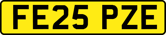 FE25PZE
